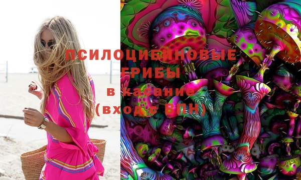 соль ск Костерёво