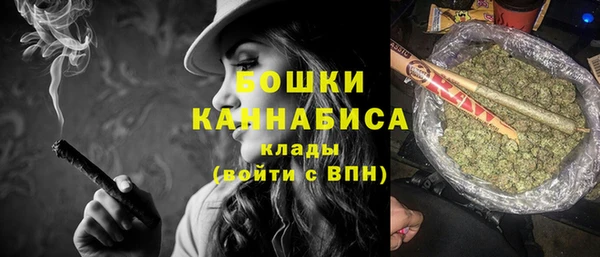 стафф Корсаков