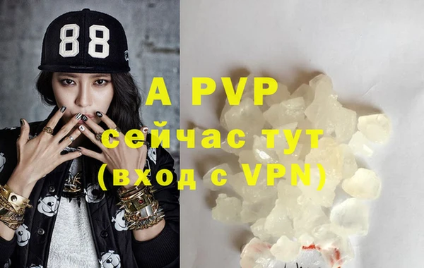 стафф Корсаков