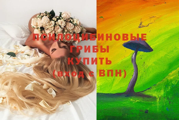 кристаллы Коряжма