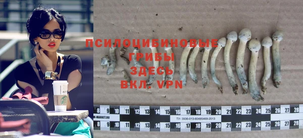 стафф Корсаков